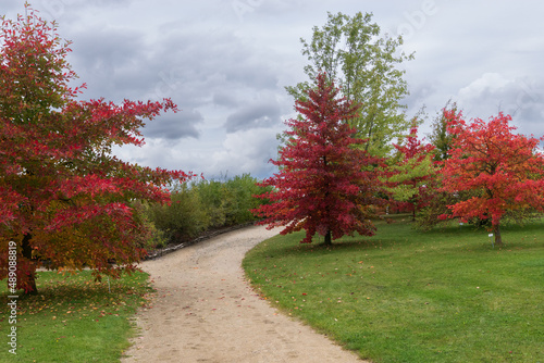 Weg durch einen Garten mit bunten Bäumen im Herbst