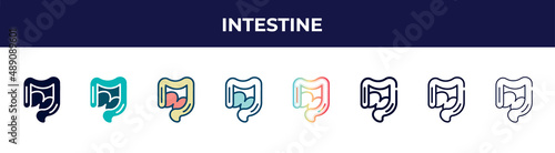intestine icon in 8 styles. line, filled, glyph, thin outline, colorful, stroke and gradient styles, intestine vector sign. symbol, logo illustration. different style icons set.