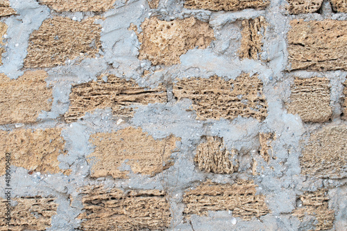 Wall of different sized stone shells connected with cement.