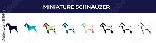 miniature schnauzer icon in 8 styles. line, filled, glyph, thin outline, colorful, stroke and gradient styles, miniature schnauzer vector sign. symbol, logo illustration. different style icons set.