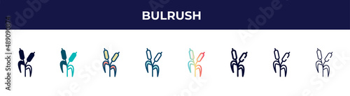 bulrush icon in 8 styles. line, filled, glyph, thin outline, colorful, stroke and gradient styles, bulrush vector sign. symbol, logo illustration. different style icons set.