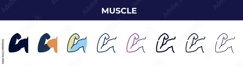 muscle icon in 8 styles. line, filled, glyph, thin outline, colorful, stroke and gradient styles, muscle vector sign. symbol, logo illustration. different style icons set. muscle icon in 8 styles. line, filled, glyph, thin outline, colorful, stroke and gradient styles, muscle vector sign. symbol, logo illustration. different style icons set.