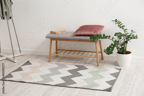 Obraz na plátně Bench, houseplant and stylish carpet in light room