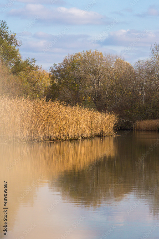 Beautiful autumn day on Tisza lake in Hungary