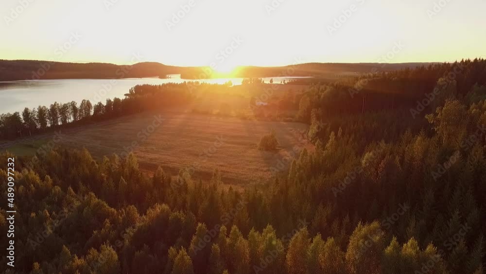 Beautiful sunset over wheat field, lake and forest.