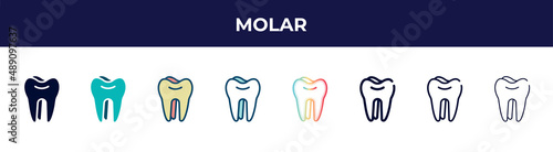 molar icon in 8 styles. line, filled, glyph, thin outline, colorful, stroke and gradient styles, molar vector sign. symbol, logo illustration. different style icons set.