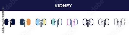 kidney icon in 8 styles. line, filled, glyph, thin outline, colorful, stroke and gradient styles, kidney vector sign. symbol, logo illustration. different style icons set.