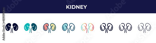kidney icon in 8 styles. line, filled, glyph, thin outline, colorful, stroke and gradient styles, kidney vector sign. symbol, logo illustration. different style icons set.