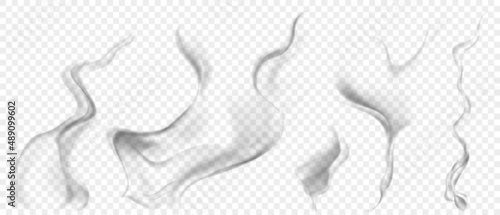 Set of several realistic transparent gray smokes or steam, for use on light background. Transparency only in vector format