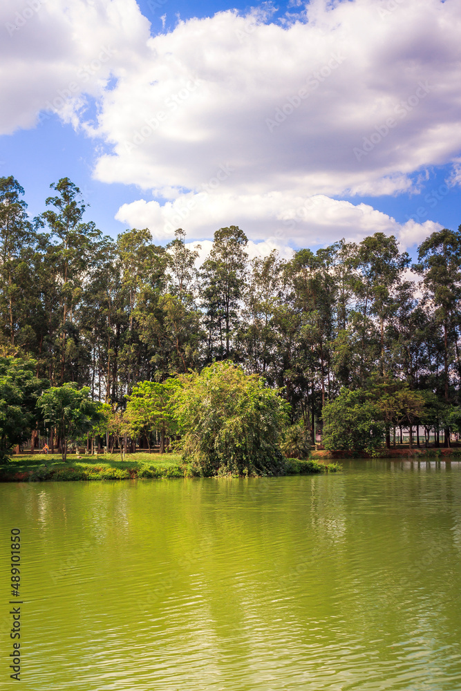 Fototapeta premium Landscape photography in a park