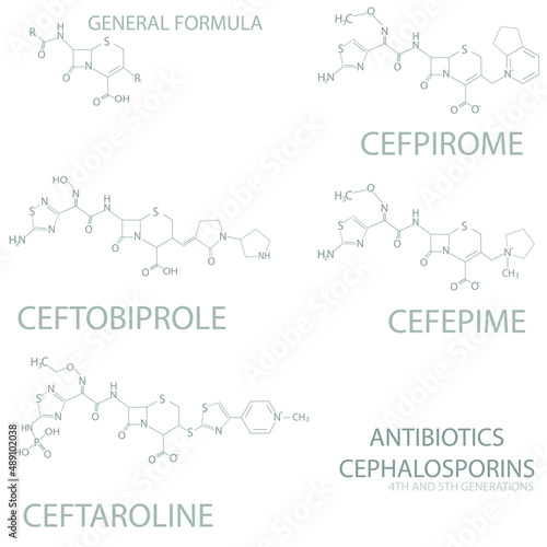 Antibiotics Cephalosporins (2nd and 3th generation) molecular skeletal chemical formula.	
