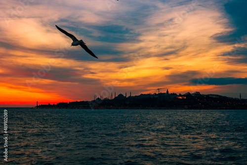 Istanbul background. Cityscape of Istanbul at sunset with dramatic clouds and a seagull. Noise included.