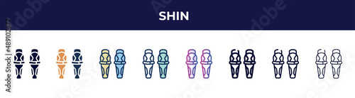 shin icon in 8 styles. line, filled, glyph, thin outline, colorful, stroke and gradient styles, shin vector sign. symbol, logo illustration. different style icons set.
