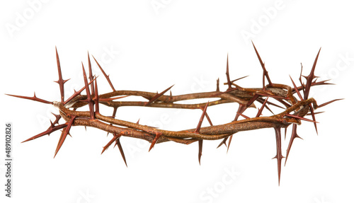 Crown of thorns on white ba...