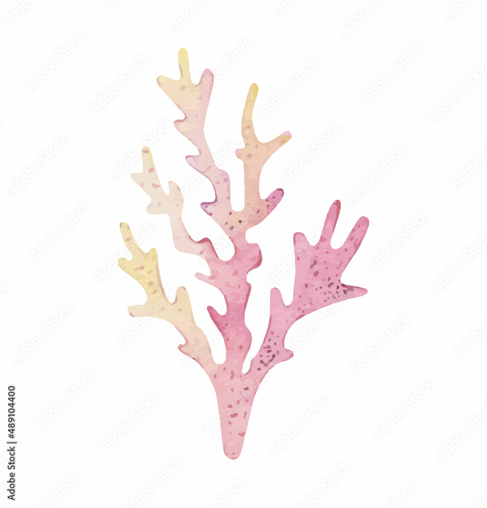 Fototapeta premium Sea animals set watercolor. Shell aquarium background. marine illustration, jellyfish, starfish.