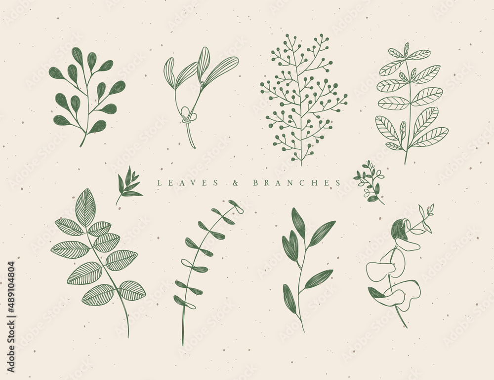 Set of graphic leaves and branches in floral style drawing in green color on beige background