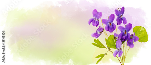 Blooming violet flowers on watercolor sky. Photo collage. Sping purple viola blossom flowers flying on background of drawn landscape. Spring concept horizontal banner with copy space. Place for a text