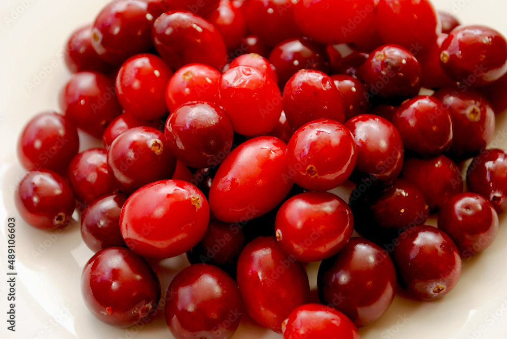 A Background of Fresh Seasonal Whole Cranberries A Background of Fresh Seasonal Whole Cranberries
