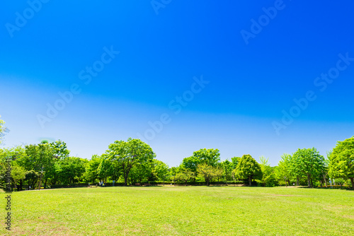 青空が広がる公園 © oben901