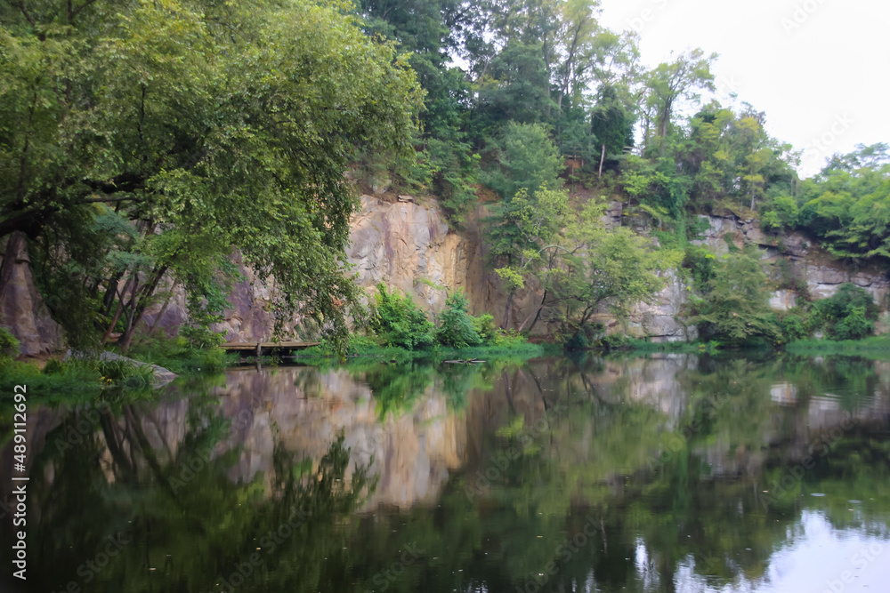 river in the forest