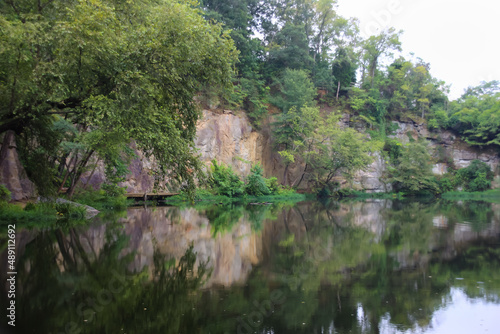 river in the forest