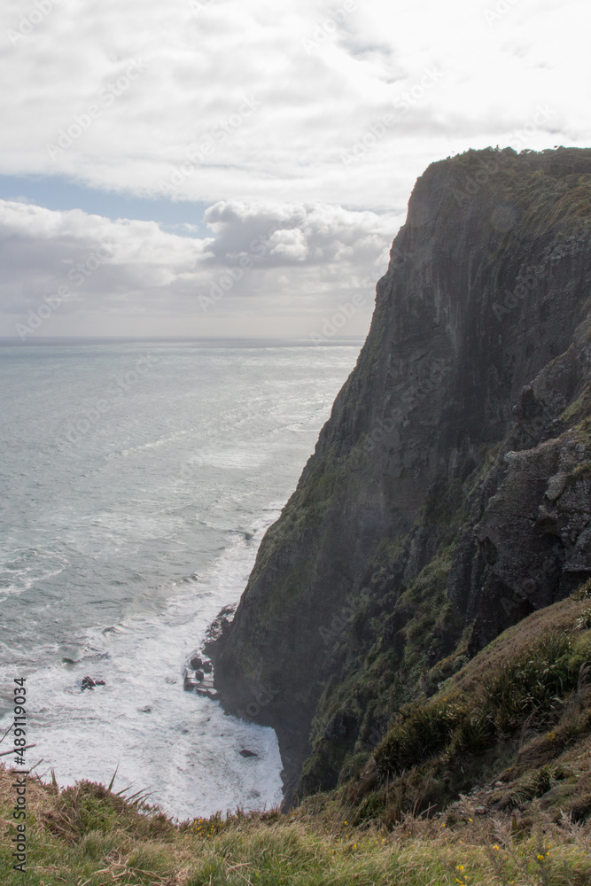 Panoramic view with cliff, ocean and horizon line of West Coast of North Island, New Zealand.