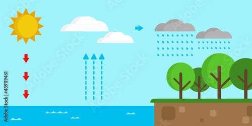 Illustrative model of the water cycle in nature. Educational illustration of science and geography.