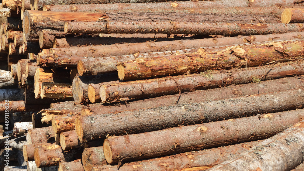 A pile of sawn logs in a lumber warehouse. The logging and wood processing industry. A pile of sawn logs in a lumber warehouse. The logging and wood processing industry.