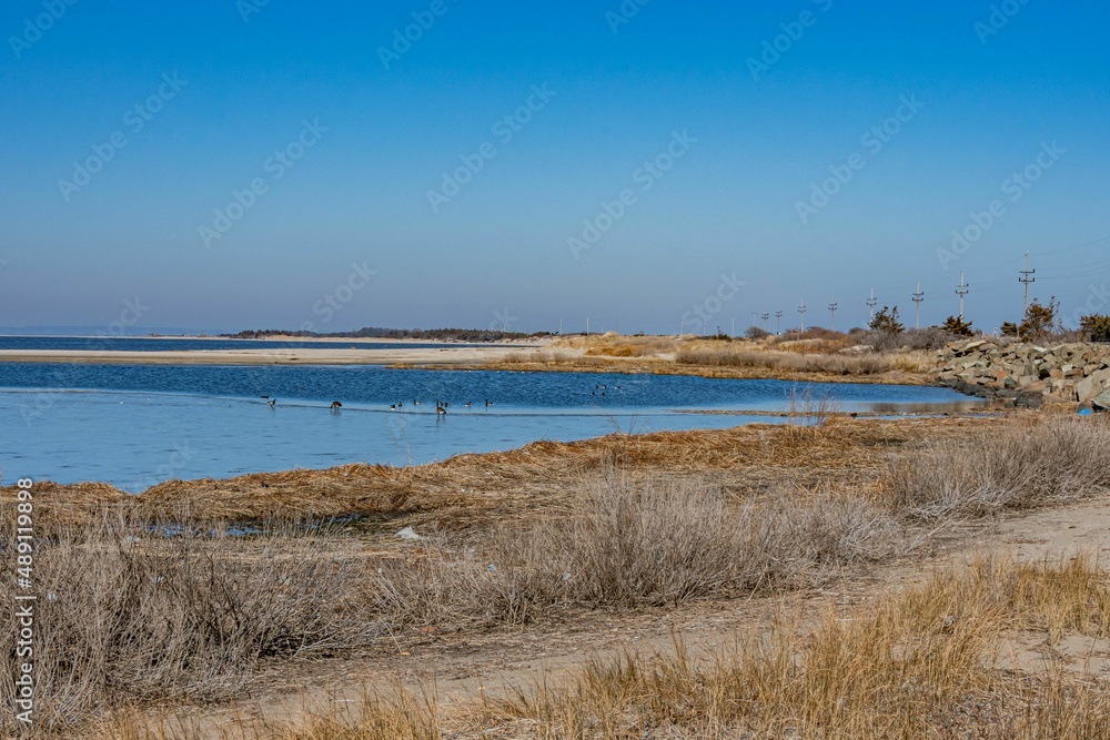 The Bay Side on a Winter Day, Sandy Hook, Gateway National Park, New Jersey, USA The Bay Side on a Winter Day, Sandy Hook, Gateway National Park, New Jersey, USA