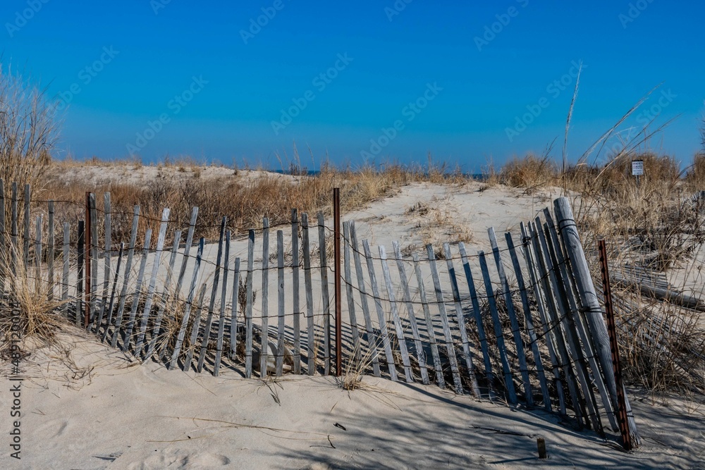 Dunes on a Cold Winter Day, Sandy Hook, Gateway National Park, New Jersey, USA