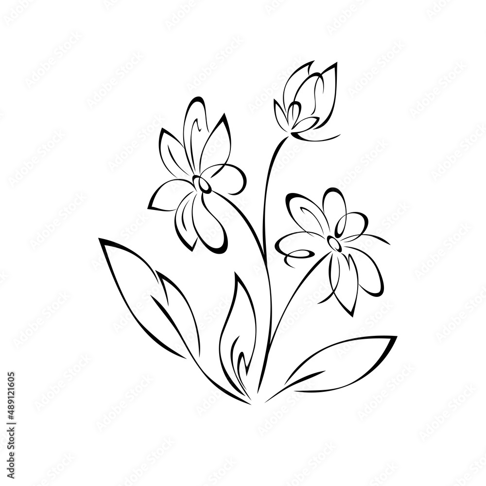 ornament 2221. twig with stylized blooming flowers and leaves. graphic decor ornament 2221. twig with stylized blooming flowers and leaves. graphic decor