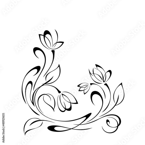 ornament 2223. decorative element with stylized flower buds on stems with leaves and curls. graphic decor
