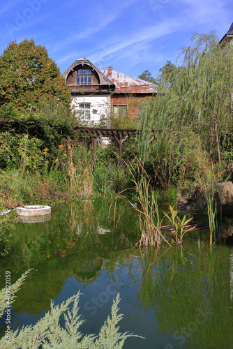 Picturesque natural corner in the city of Sochi