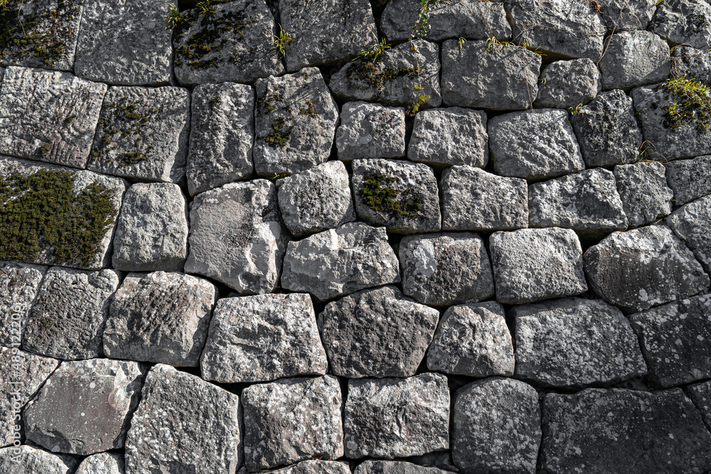 Old stone wall in the form of a mosaic with mushrooms and gray color Old stone wall in the form of a mosaic with mushrooms and gray color