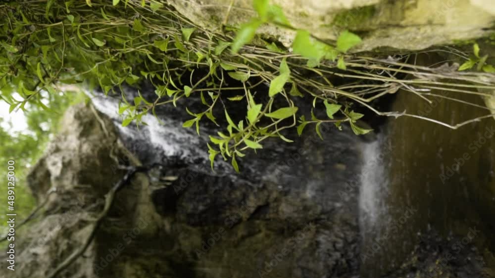 Vertical Aerial close up of jungle details, wild vegetation grown near a scenic waterfall with pristine clear water falling from rocky cliff, unpolluted heavenly Mother Earth landscape Vertical Aerial close up of jungle details, wild vegetation grown near a scenic waterfall with pristine clear water falling from rocky cliff, unpolluted heavenly Mother Earth landscape