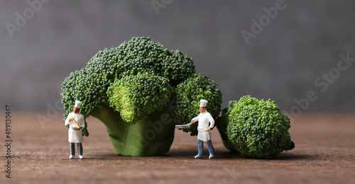 Fresh broccoli and two miniature chefs. Fresh greens and miniature people with business concept. 
