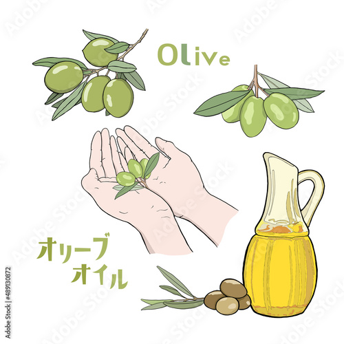 両手にオリーブ・オイルの瓶とオリーブ