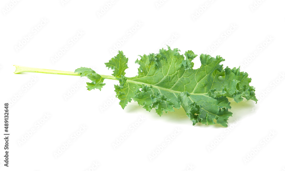 Fototapeta premium Kale vegetables isolated on white background