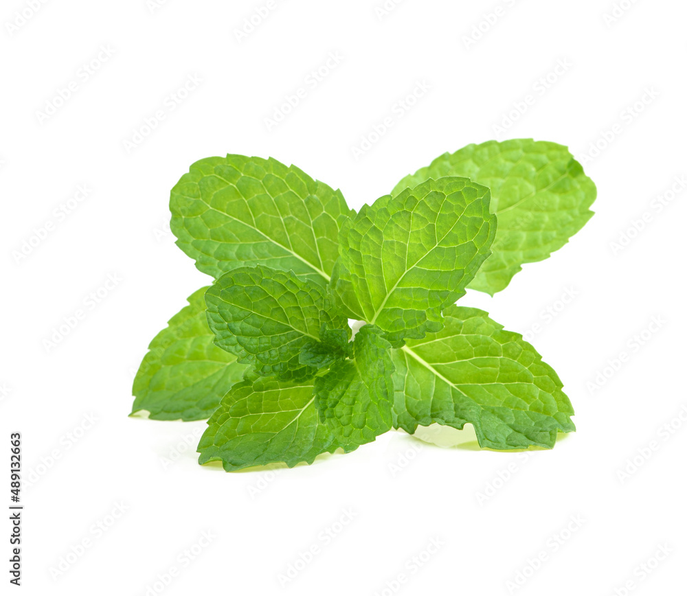 mint leaves isolated on white background mint leaves isolated on white background