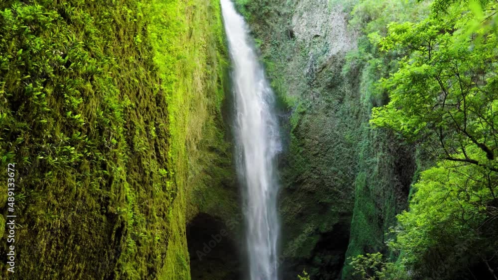 Handheld of hidden Mili Mili misty waterfall falling down a natural pond surrounded by green dense vegetation, Coñaripe, Chile Handheld of hidden Mili Mili misty waterfall falling down a natural pond surrounded by green dense vegetation, Coñaripe, Chile