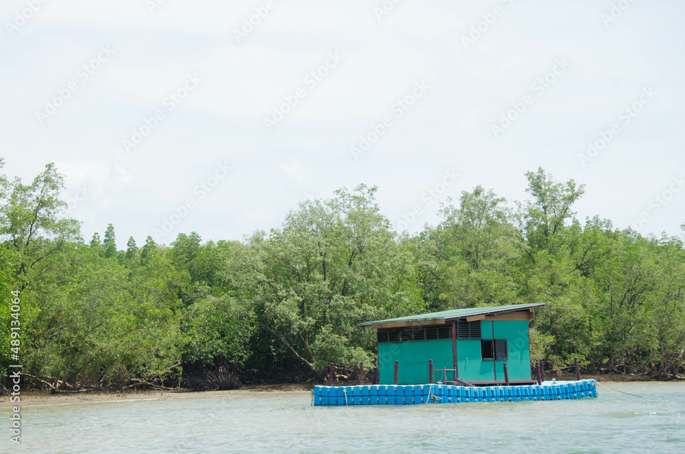 Fototapeta premium Different Thailand images, streets, markets, temples, buildings, rivers, beaches, and national parks.