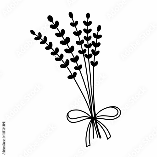 Bunch of lavender with beautiful ribbon. Vector doodle illustration. Icon is black line.