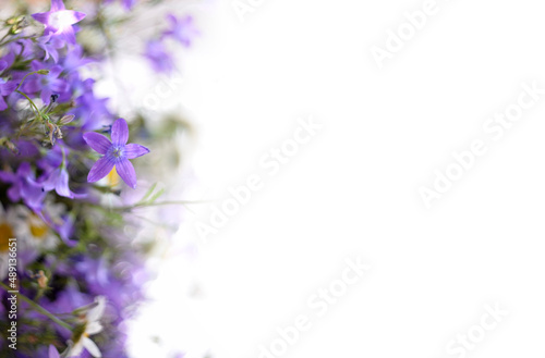 Bouquet of spring flowers on a white background. Forest bells and chamomile. Postcard with flowers for Mother s Day  flower banner  space for text. Blurred background of blue bells flowers