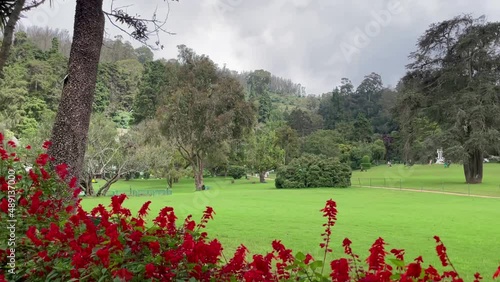 View of Botanical Garden Ooty photo