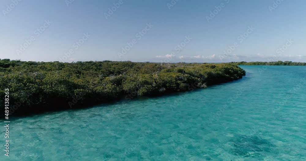 Aerial approach calm blue water surrounded by forest Mangroves in the Caribbean Sea. Aerial view in Los Roques Aerial approach calm blue water surrounded by forest Mangroves in the Caribbean Sea. Aerial view in Los Roques