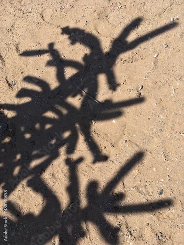 shadow