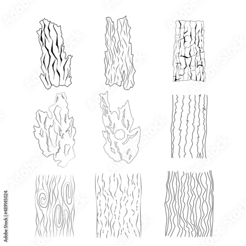 Vector textures of wood, timber, bark of trees and pieces of logs, vector collection. Black and white set of various abstract wooden textures.