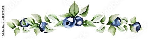Blueberry berries on branches watercolor border. Template for decorating designs and illustrations.	
