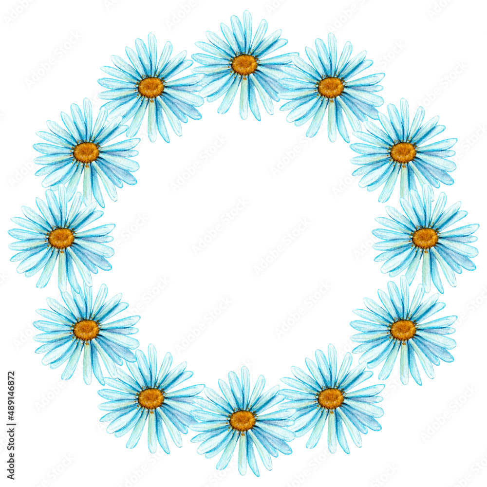 Round frame of blue daisies, Painted in watercolor, isolated on white background for greeting, congratulations, cards. Round frame of blue daisies, Painted in watercolor, isolated on white background for greeting, congratulations, cards.