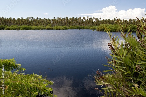 View of wetlands near Icacos town, Cedros Swamp. Trinidad and Tobago. © Rostislav